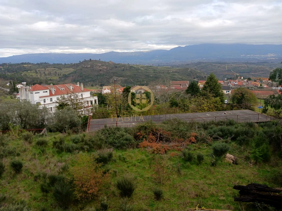 Quinta T20 para Venda em Abrunhosa-A-Velha Foto 45