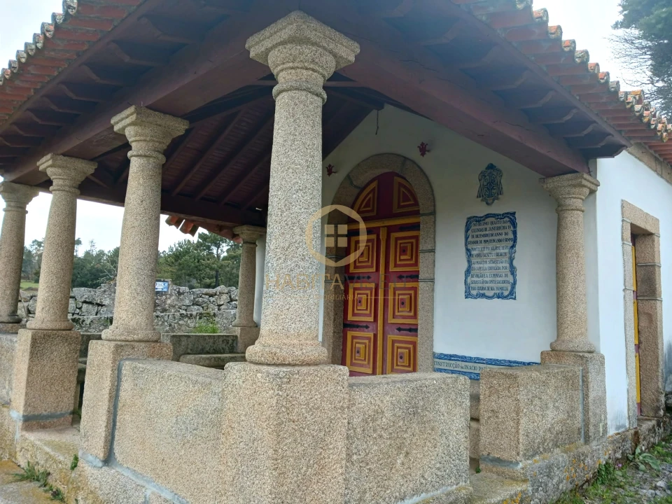 Quinta T20 para Venda em Abrunhosa-A-Velha Foto 43