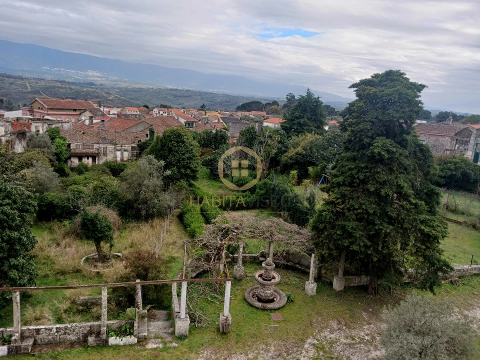Quinta T20 para Venda em Abrunhosa-A-Velha Foto 31