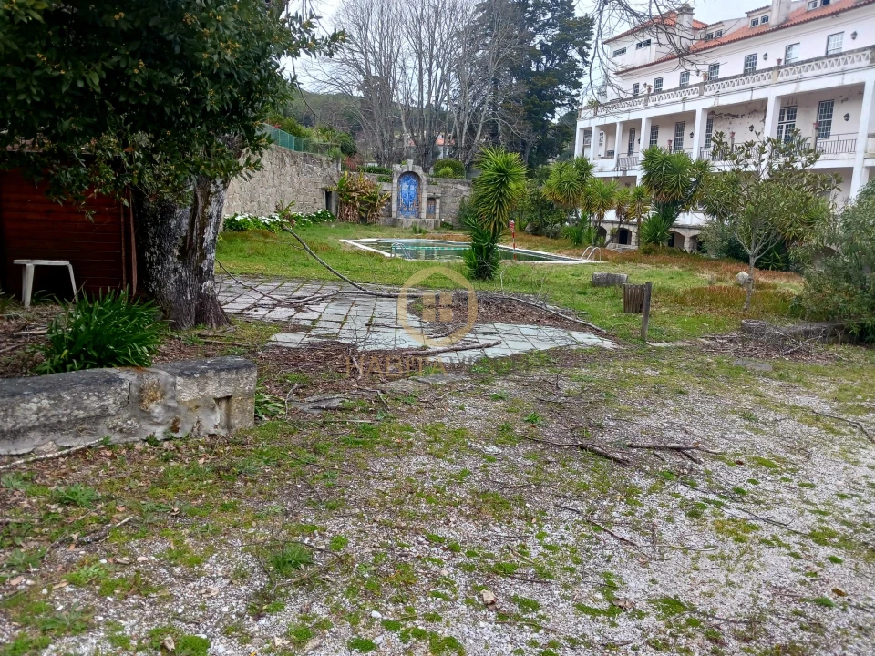 Quinta T20 para Venda em Abrunhosa-A-Velha Foto 46