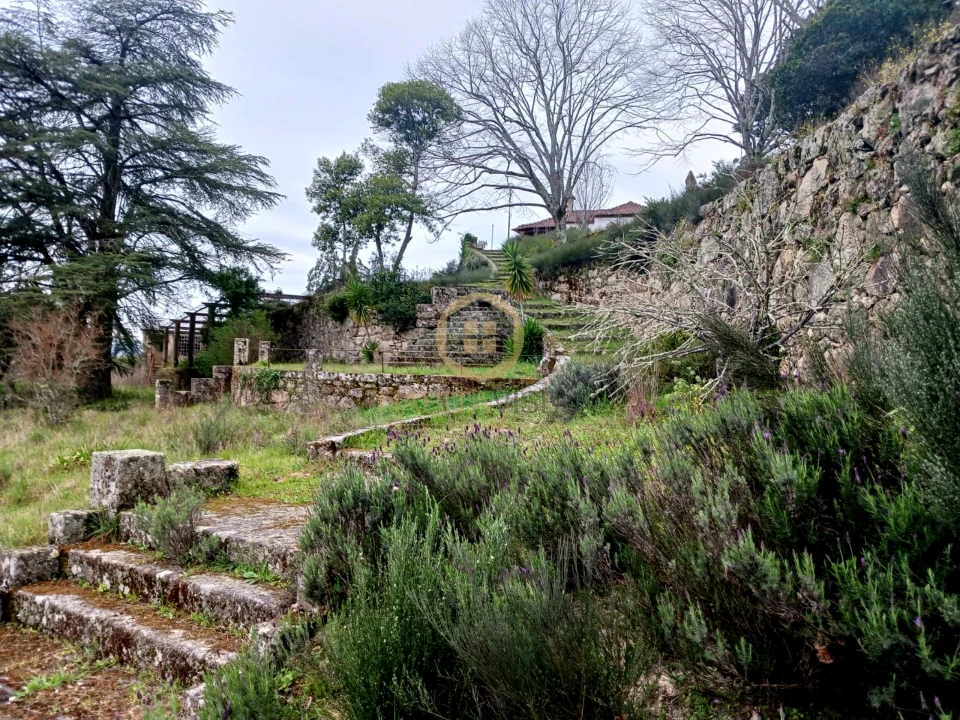 Quinta T20 para Venda em Abrunhosa-A-Velha Foto 33
