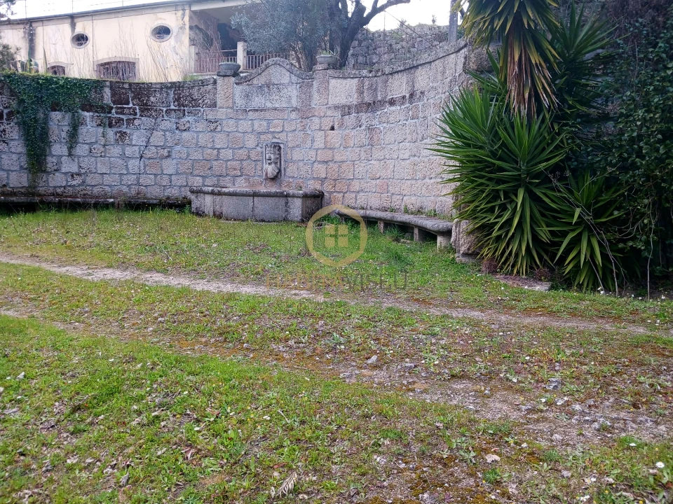 Quinta T20 para Venda em Abrunhosa-A-Velha Foto 28