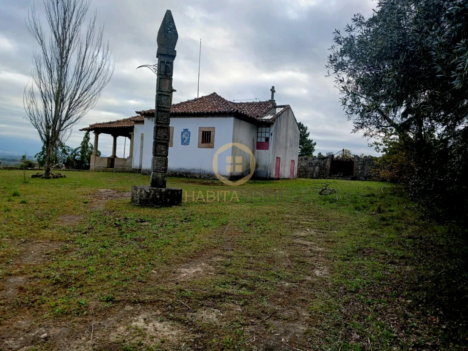 Quinta T20 para Venda em Abrunhosa-A-Velha Foto 41