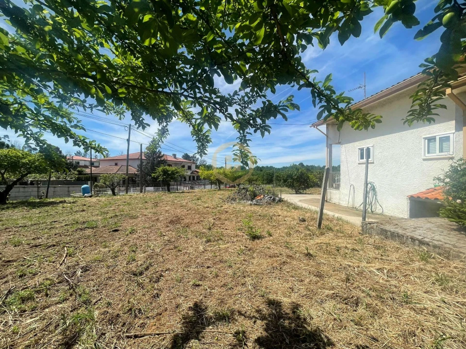 Moradia T6 para Venda em Satão Foto 26