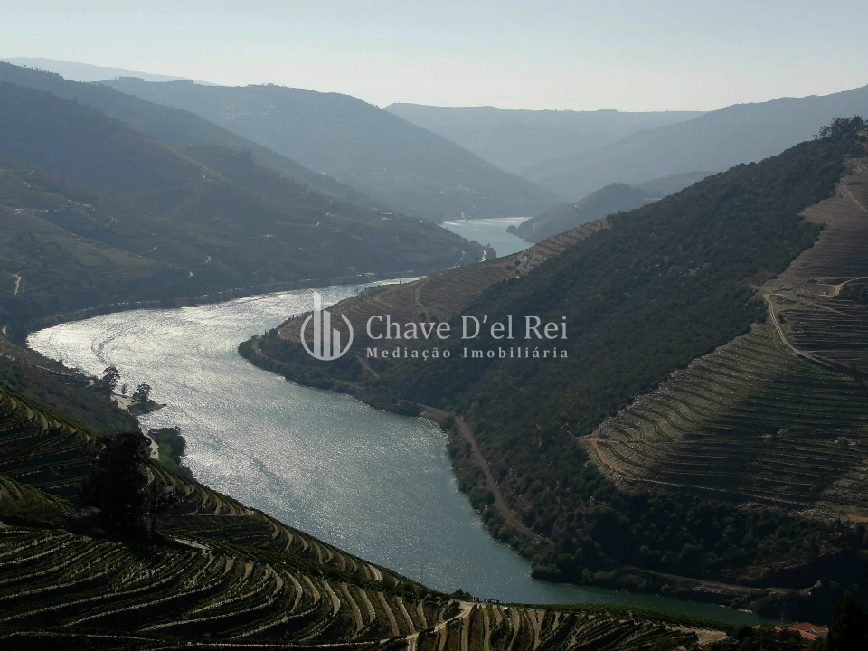 Terreno para Venda em Valença do Douro Foto 1