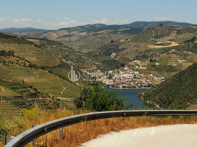 Terreno para Venda em Valença do Douro Foto 7