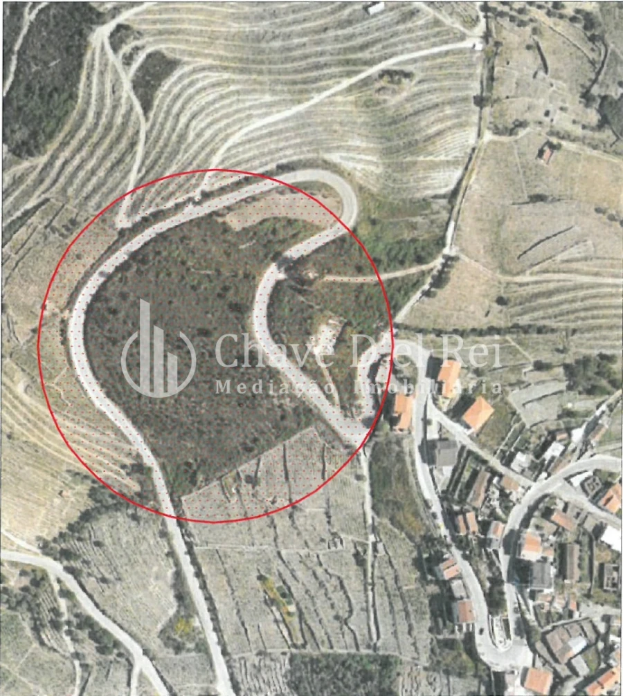 Terreno para Venda em Valença do Douro Foto 3