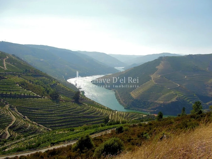 Terreno para Venda em Valença do Douro Foto 5