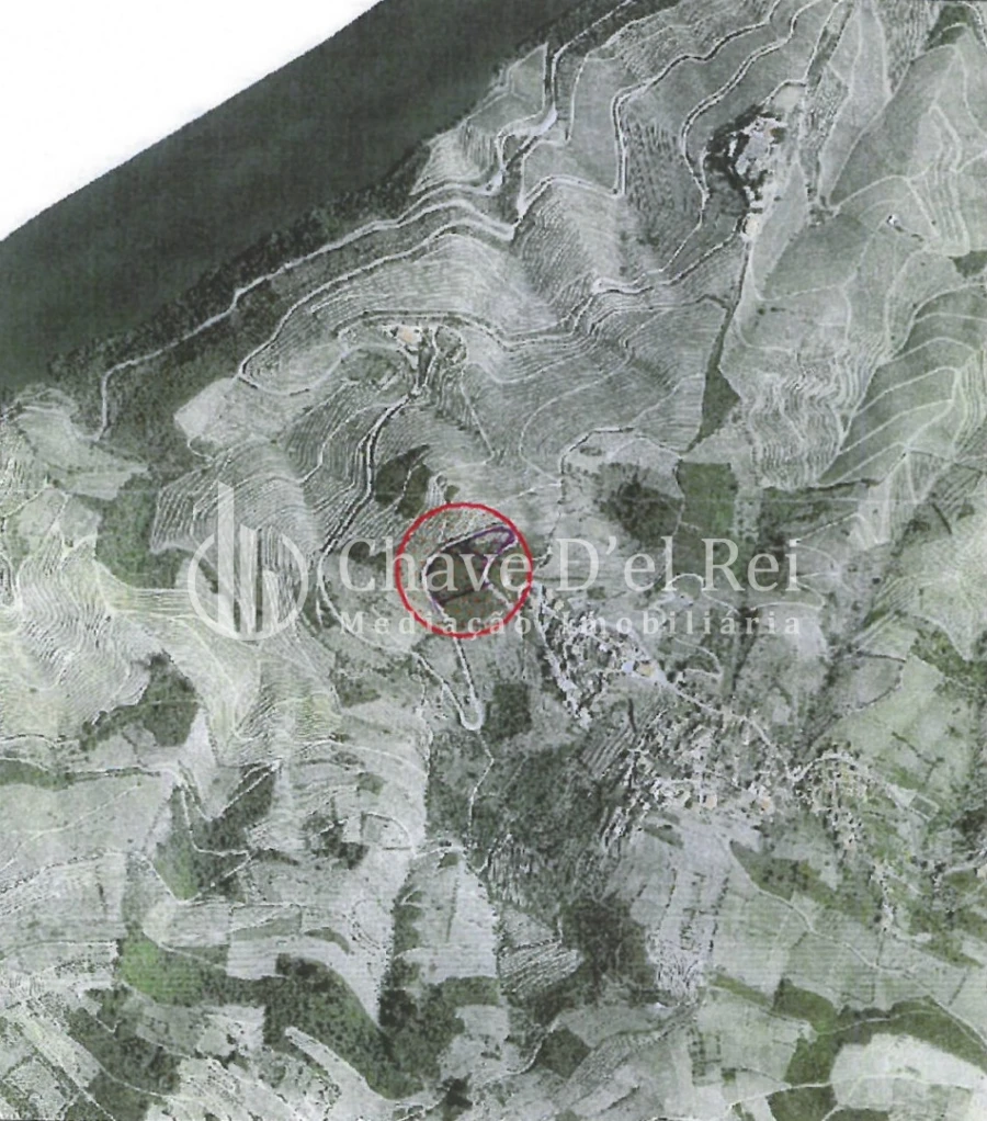 Terreno para Venda em Valença do Douro Foto 2
