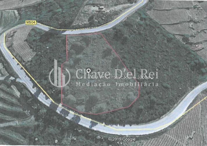 Terreno para Venda em Valença do Douro Foto 10