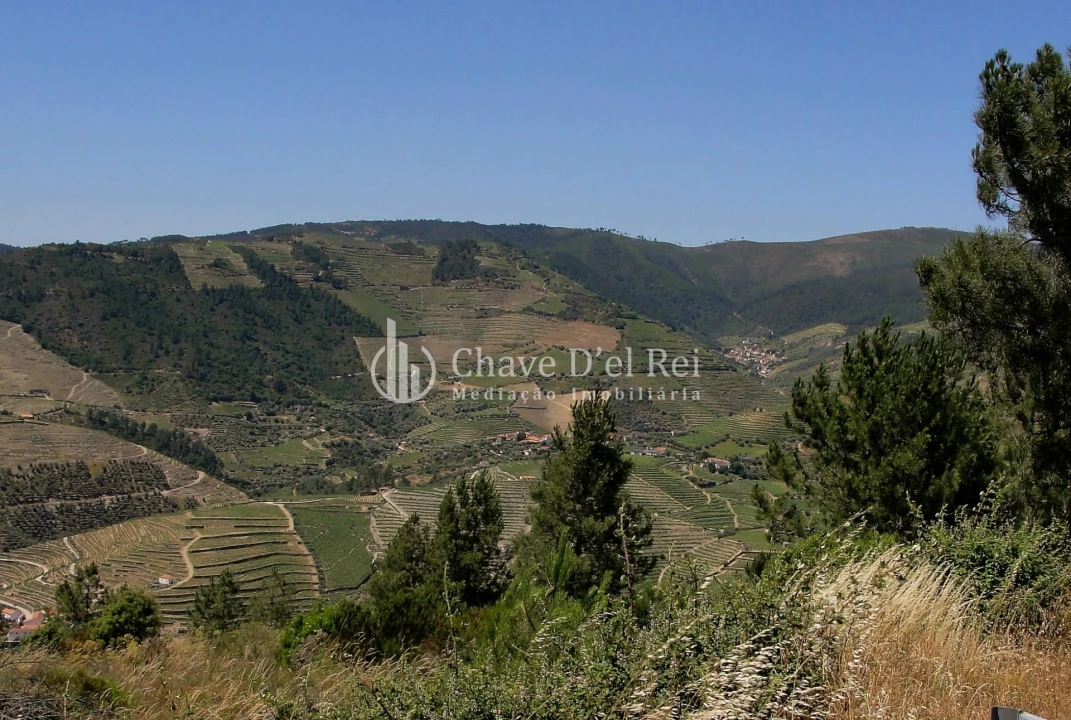 Terreno para Venda em Valença do Douro Foto 8
