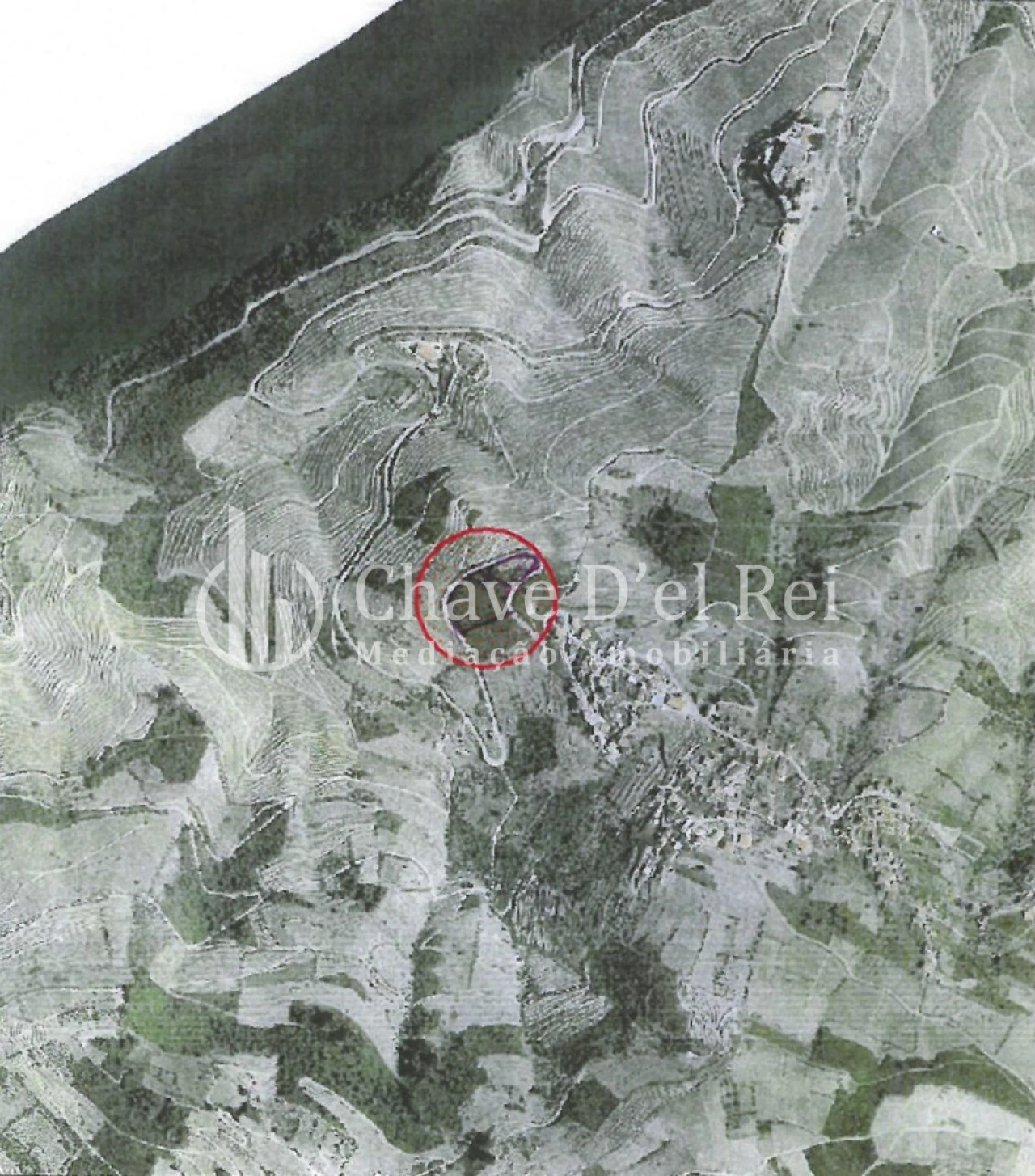 Terreno para Venda em Valença do Douro Foto 2