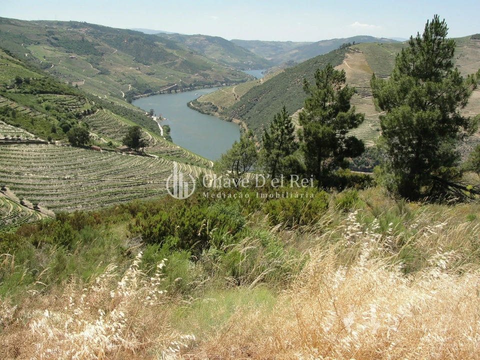 Terreno para Venda em Valença do Douro Foto 6