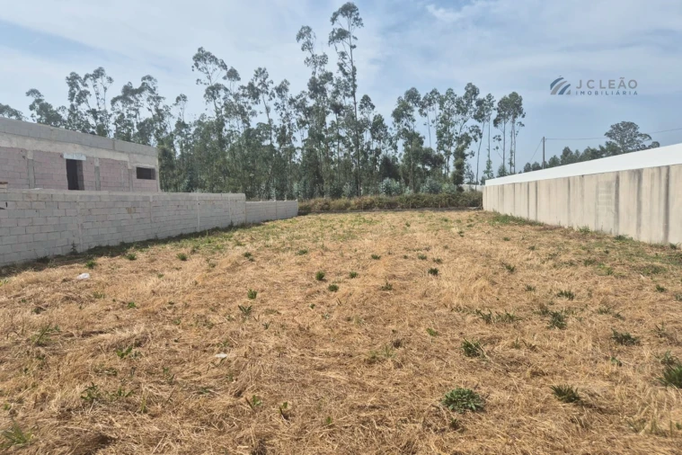 Terreno para Venda em Vilar e Mosteiró Foto 1