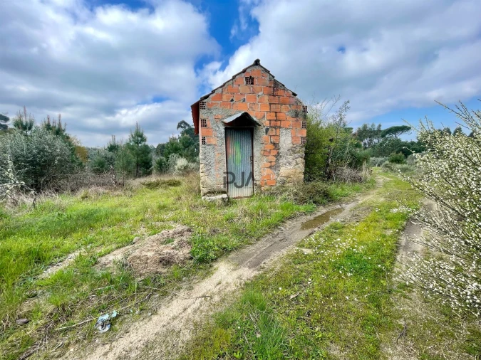 Terreno Misto para Venda em Santar e Moreira