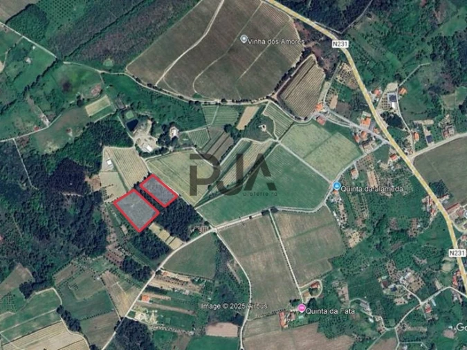 Terreno Misto para Venda em Santar e Moreira Foto 7