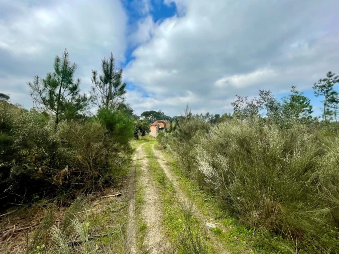 Terreno Misto para Venda em Santar e Moreira Foto 2