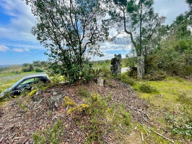 Terreno Misto para Venda em Santar e Moreira Foto 3