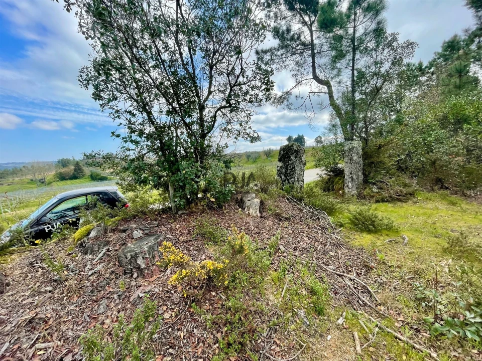 Terreno Misto para Venda em Santar e Moreira Foto 3