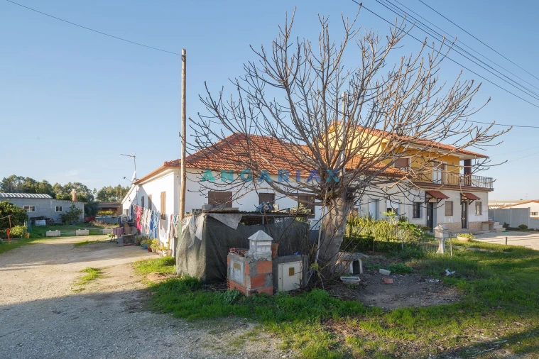 Moradia T4 para Venda em Pedreiras Foto 5