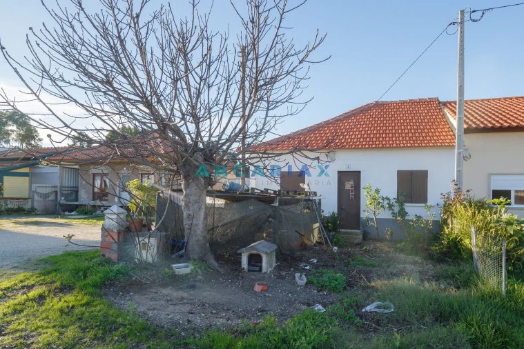 Moradia T4 para Venda em Pedreiras Foto 3