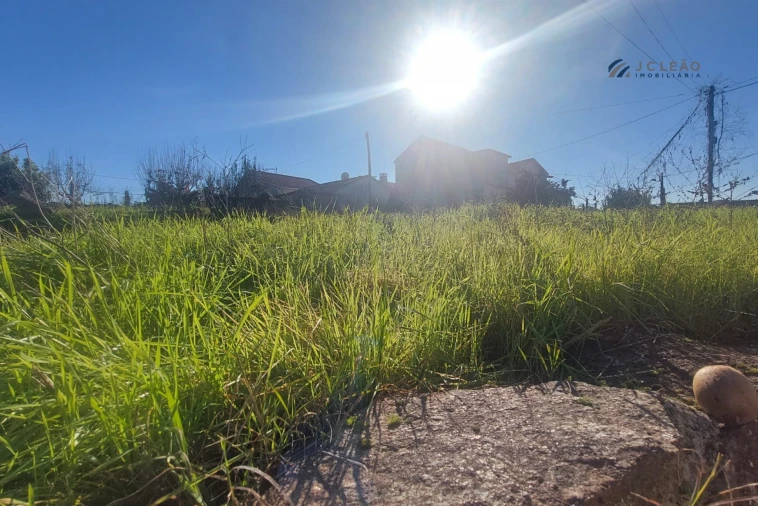 Terreno Agricola ou Rústico para Venda em Abragão Foto 9