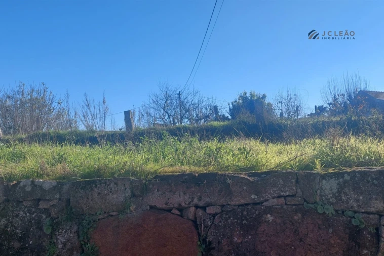 Terreno Agricola ou Rústico para Venda em Abragão Foto 4