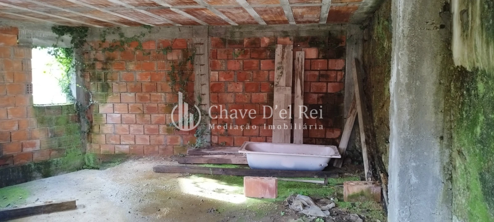 Moradia T1 para Venda em São Cipriano e Vil de Souto Foto 2