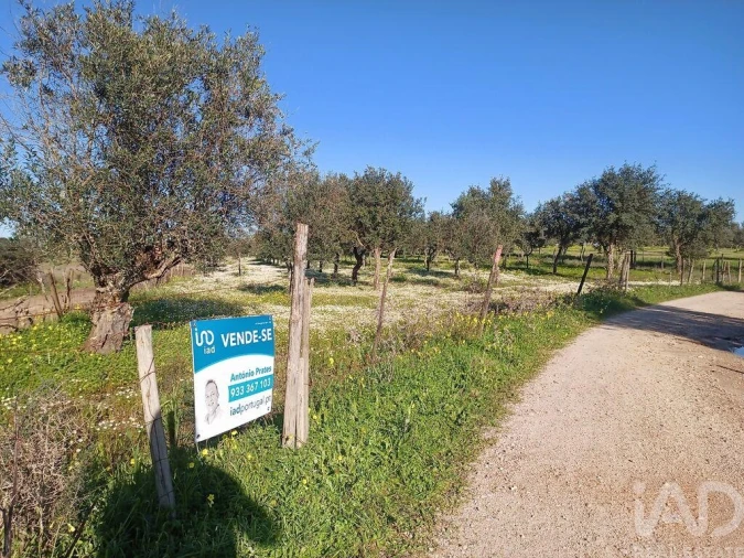 Terreno para Venda em Galveias