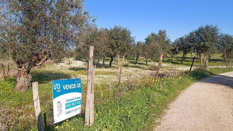 Terreno para Venda em Galveias