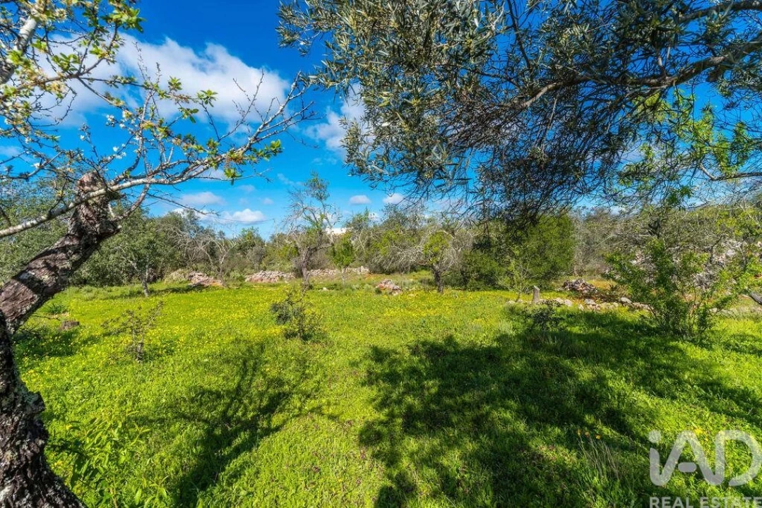 Moradia T4 para Venda em Querença, Tôr e Benafim Foto 23