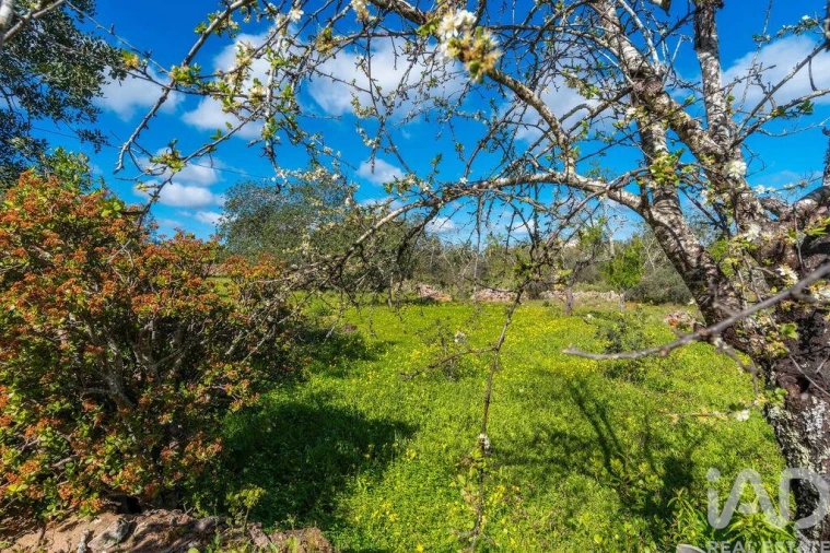 Moradia T4 para Venda em Querença, Tôr e Benafim Foto 25