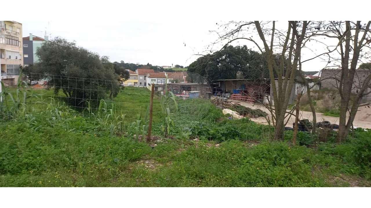 Terreno para Venda em Cartaxo e Vale da Pinta Foto 6
