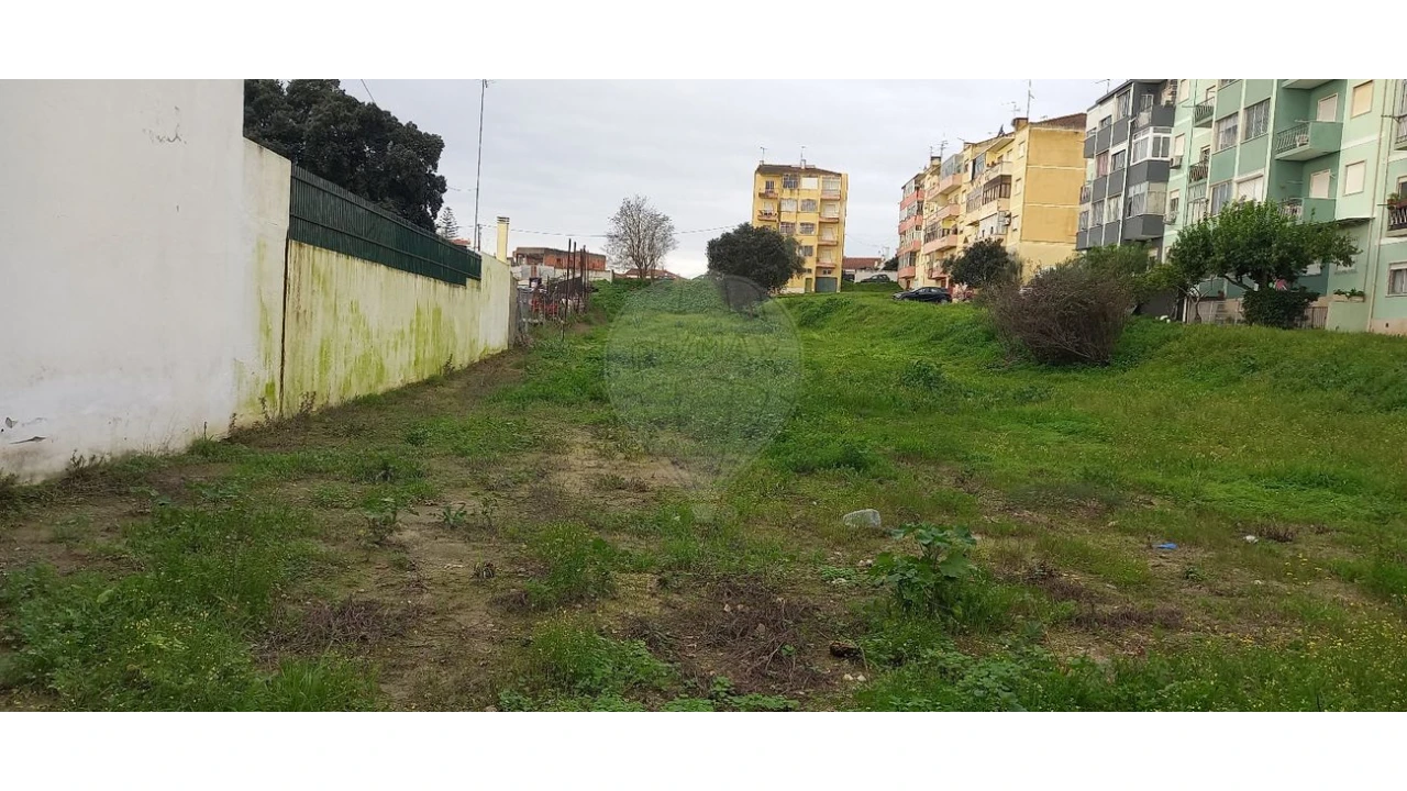 Terreno para Venda em Cartaxo e Vale da Pinta Foto 5