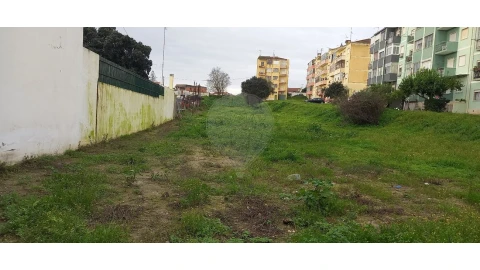 Terreno para Venda em Cartaxo e Vale da Pinta