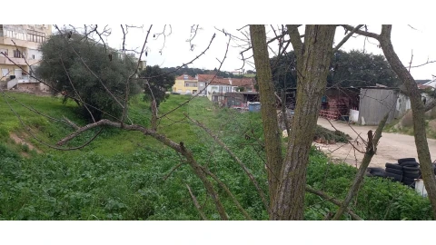 Terreno para Venda em Cartaxo e Vale da Pinta