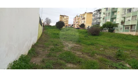 Terreno para Venda em Cartaxo e Vale da Pinta