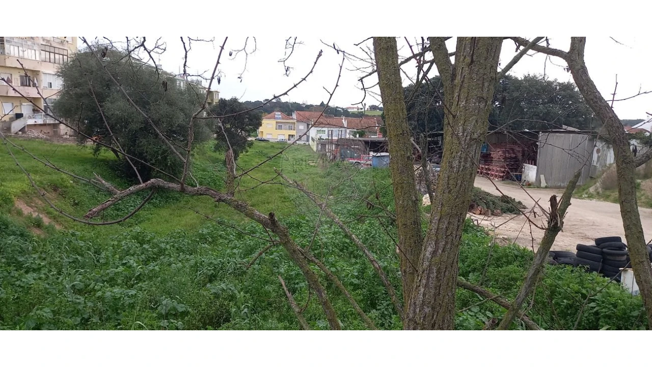 Terreno para Venda em Cartaxo e Vale da Pinta Foto 7
