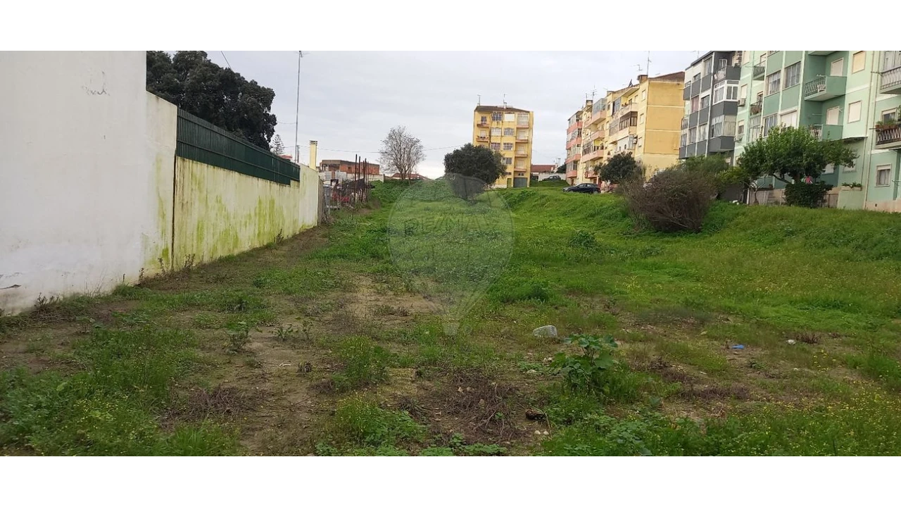 Terreno para Venda em Cartaxo e Vale da Pinta Foto 1