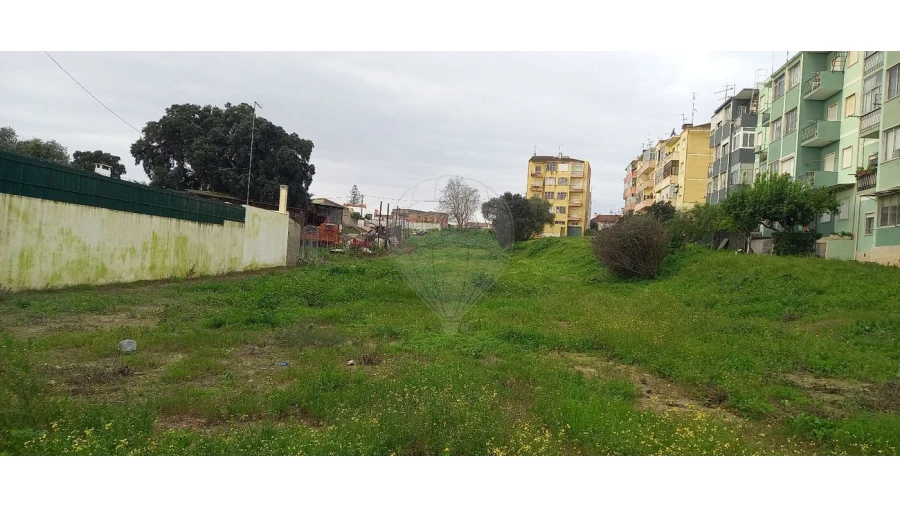 Terreno para Venda em Cartaxo e Vale da Pinta Foto 4