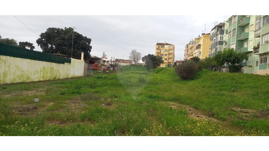 Terreno para Venda em Cartaxo e Vale da Pinta Foto 3