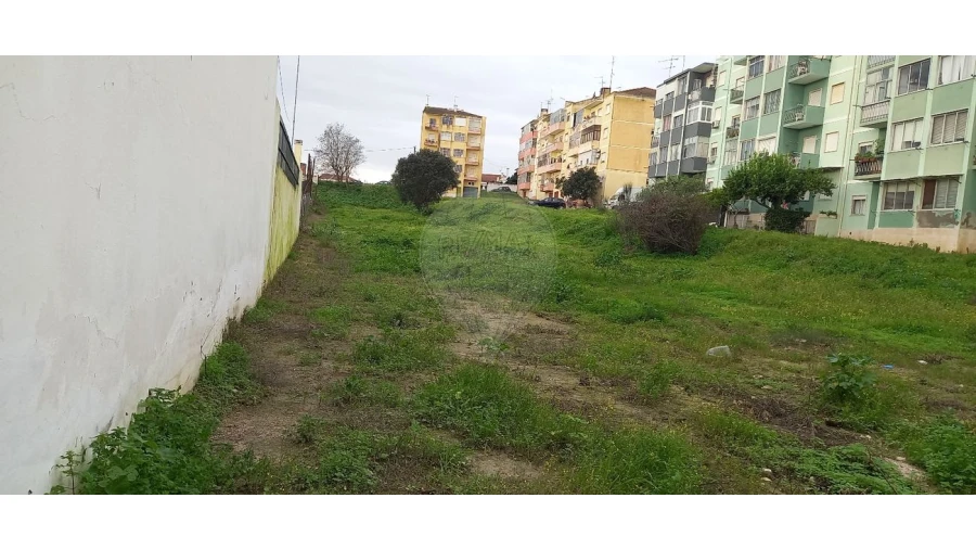 Terreno para Venda em Cartaxo e Vale da Pinta Foto 2