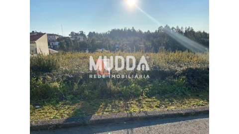 Terreno para Venda em Nogueira do Cravo e Pindelo