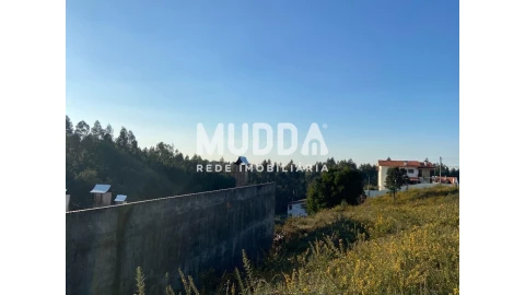Terreno para Venda em Nogueira do Cravo e Pindelo