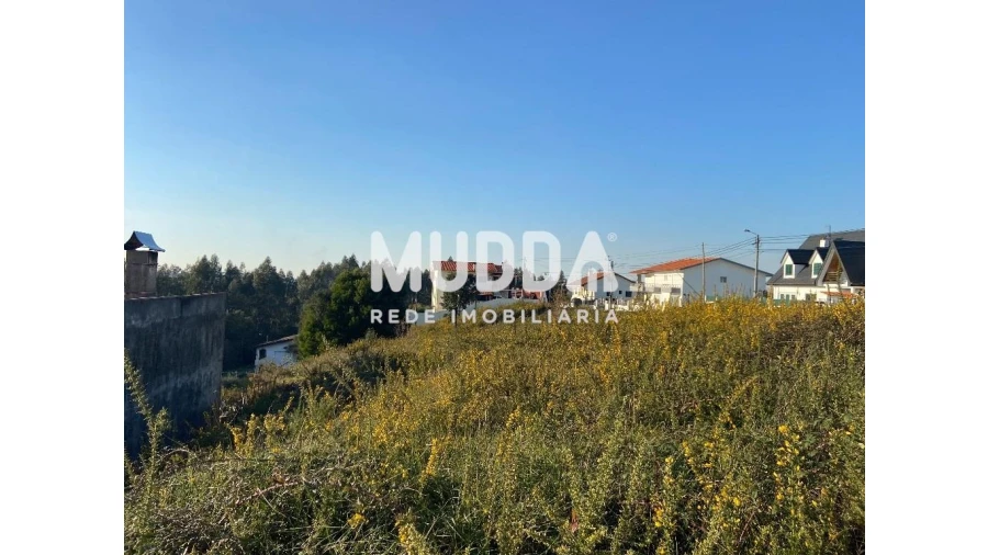 Terreno para Venda em Nogueira do Cravo e Pindelo