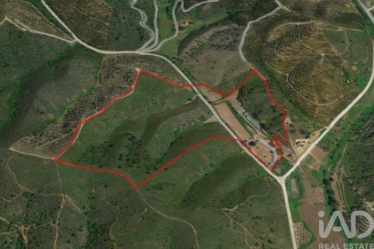 Terreno para Venda em Marmelete Foto 30