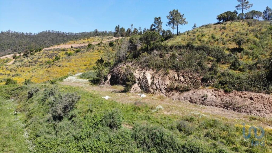 Terreno para Venda em Marmelete Foto 4