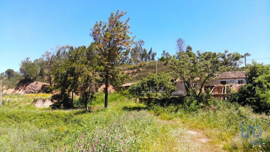 Terreno para Venda em Marmelete Foto 9