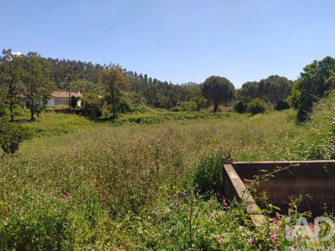 Terreno para Venda em Marmelete Foto 18