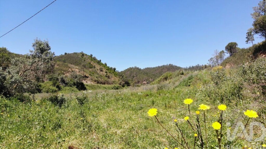 Terreno para Venda em Marmelete Foto 26